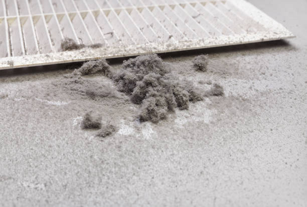 Best Affordable HVAC Duct Cleaning  in St Matthews, SC