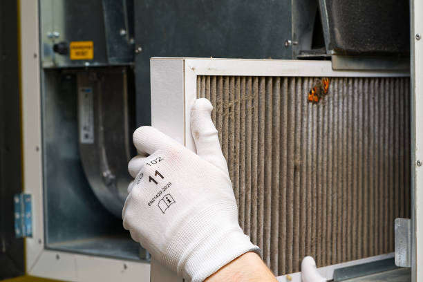 Best Air Duct Cleaning Near Me  in St Matthews, SC